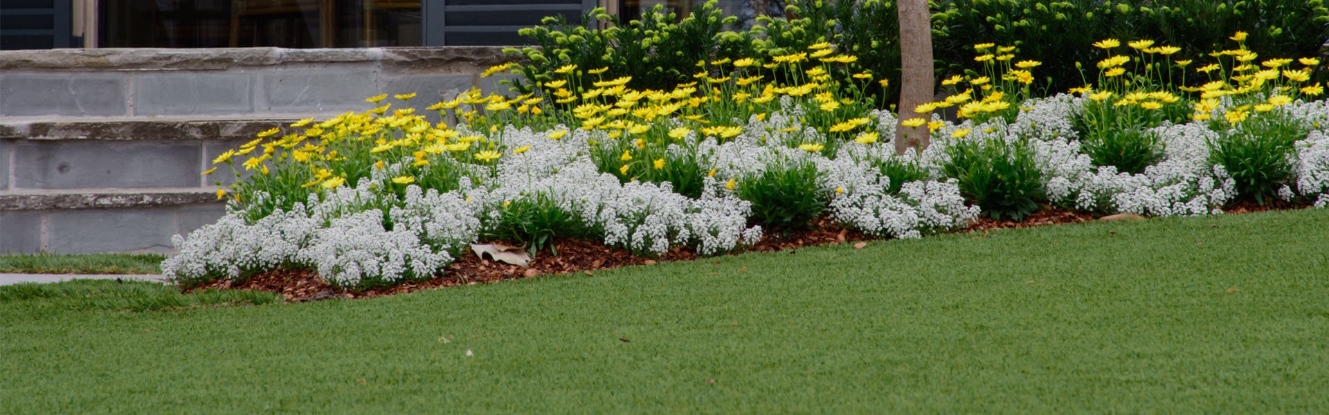 Landscaped lawn with flowers.