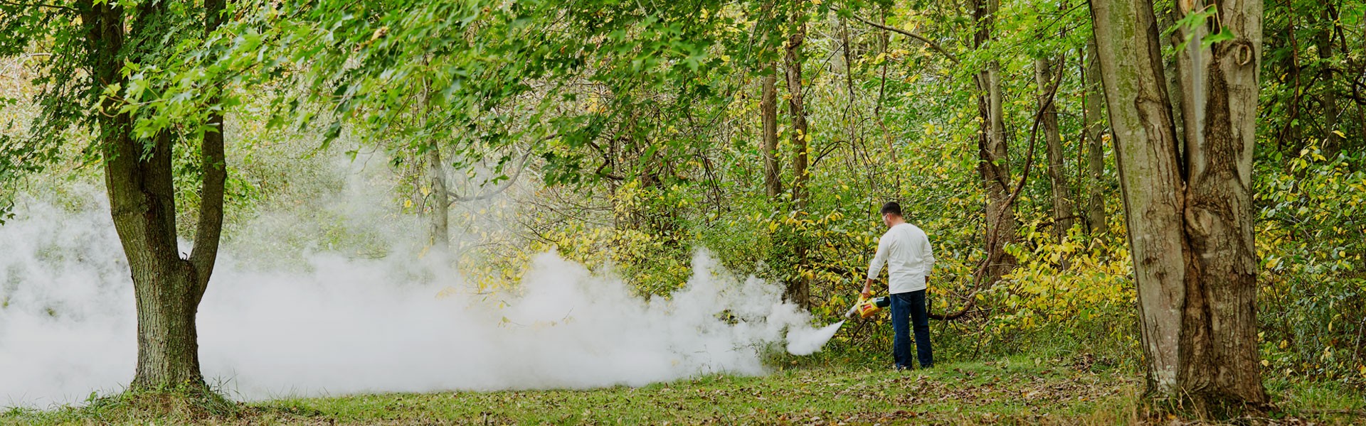 Mosquito Foggers The Fountainhead Group